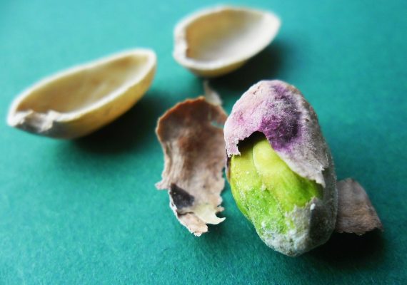 The European market potential for pistachios | CBI - Centre for ...