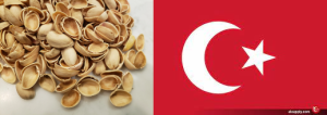 Exporting pistachio shells to Türkiye
